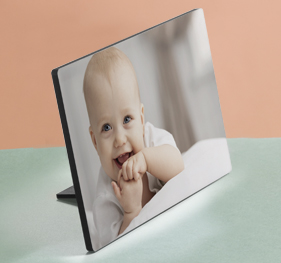 תמונה על עץ NO4 27.1.26 