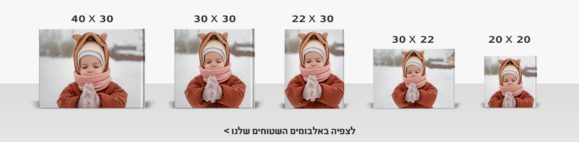 אלבומים NO3 1.1.26