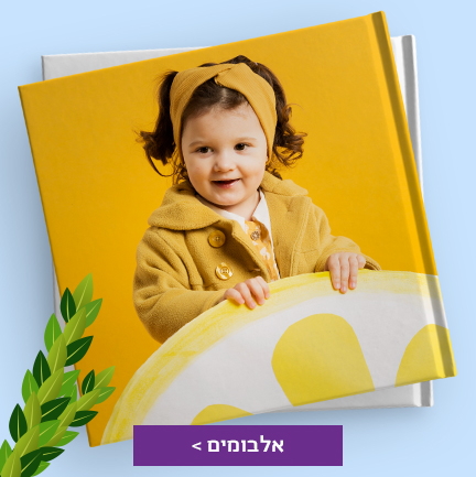 אלבומים 5.10.25 NO2 