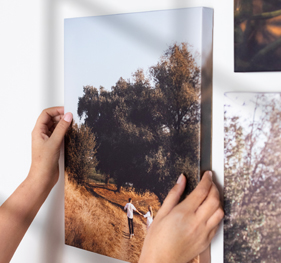 קנבס 11.11.25 NO3