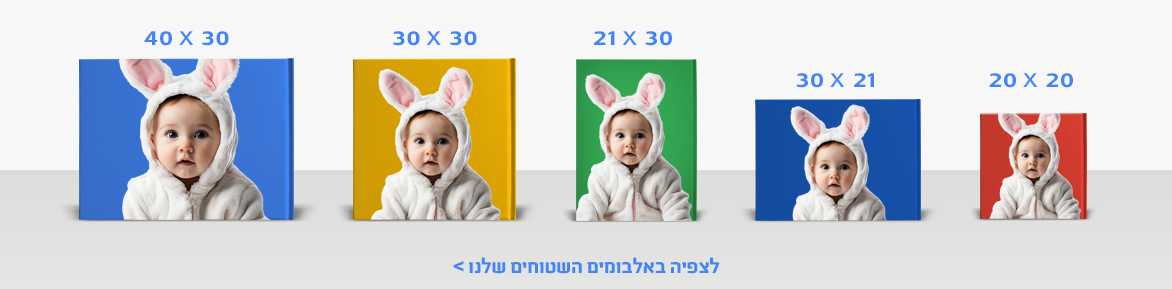 אלבומים NO3 16.10.25