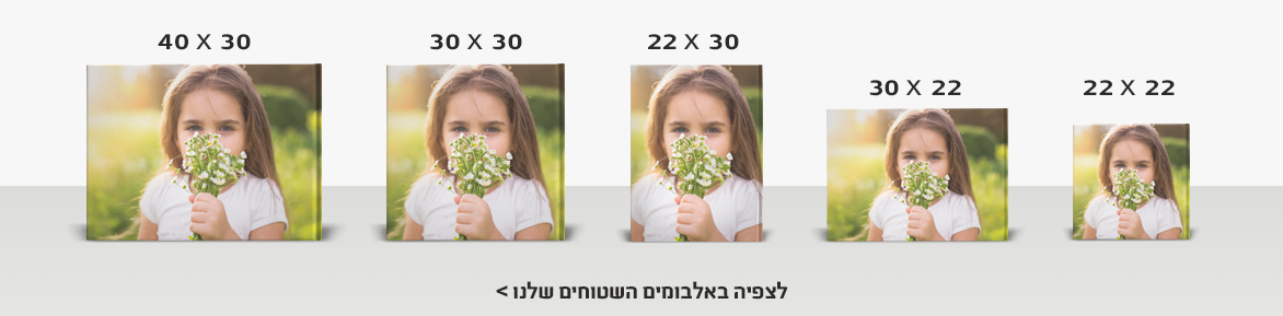 אלבומים NO3 16.10.25