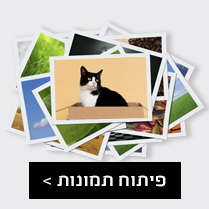 פיתוח תמונות NO2 23.11.25