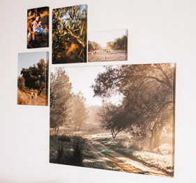 קנבס  5.3.26 NO4