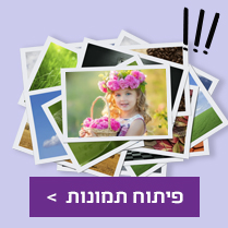 פיתוח תמונות NO2 27.1.26
