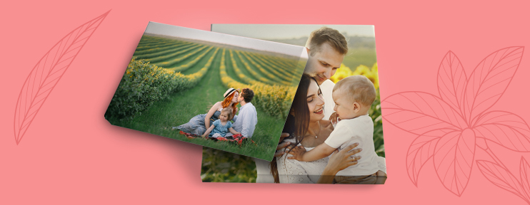  קנבסים NO1 27.1.26