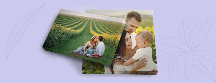  קנבסים NO1 27.1.26